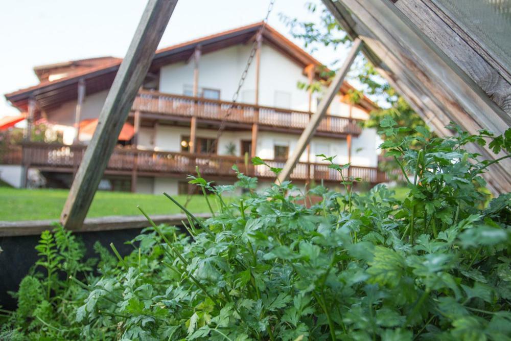 Auszeit-Wohnungen Aidenbach Екстер'єр фото